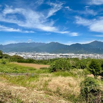 いつになったら登れるようになるやら