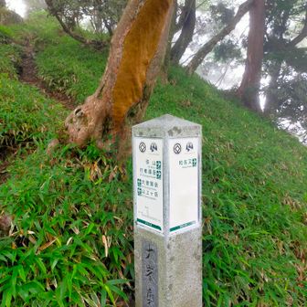 ここで奥駈道から無双洞方面へ。
