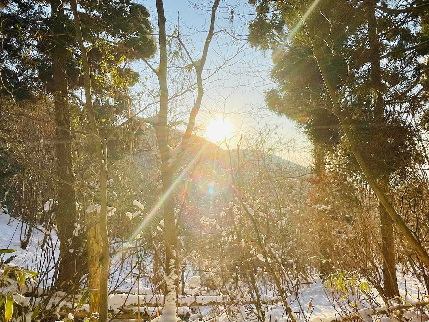 朝日を浴びて
暖かい😊