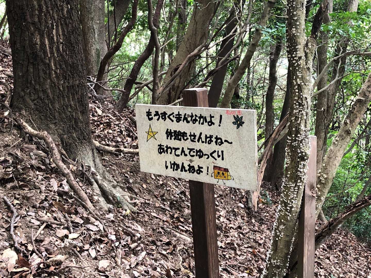 八郎岳-小八郎岳-千々峠 周回コースの写真