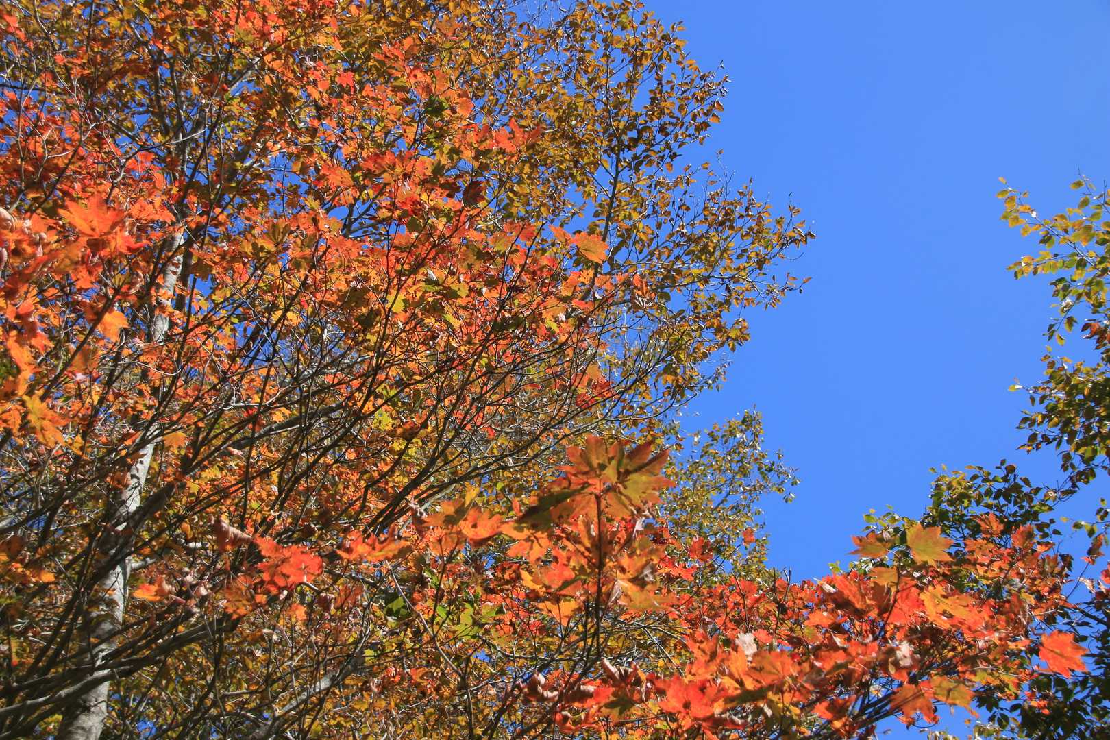 紅葉も沢山堪能出来ました😄