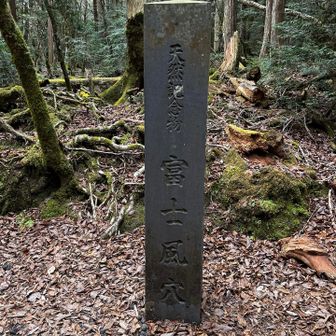 富士風穴🗻届出が無いと見れないらしいです📄