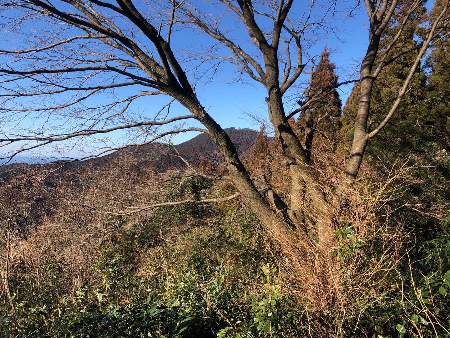 十坊山も見え⛰