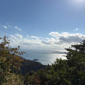 海がキレイ(人*´▽`)+･｡*