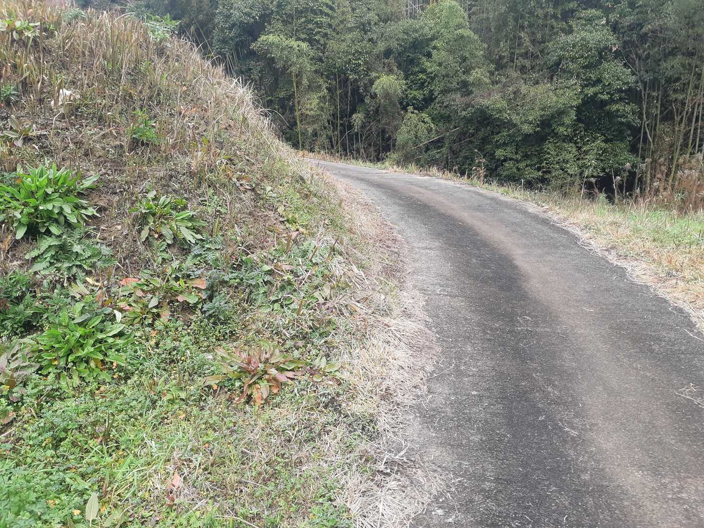 舗装道路も先週の山登りに比べると気持ち的に楽です🤗