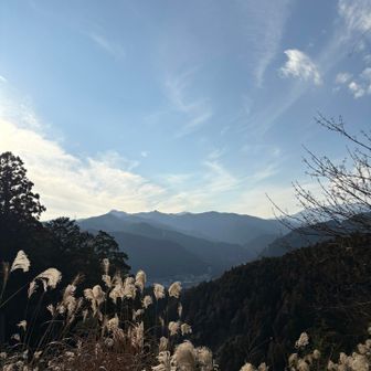 あーこっちは知らない全部知らない山です
