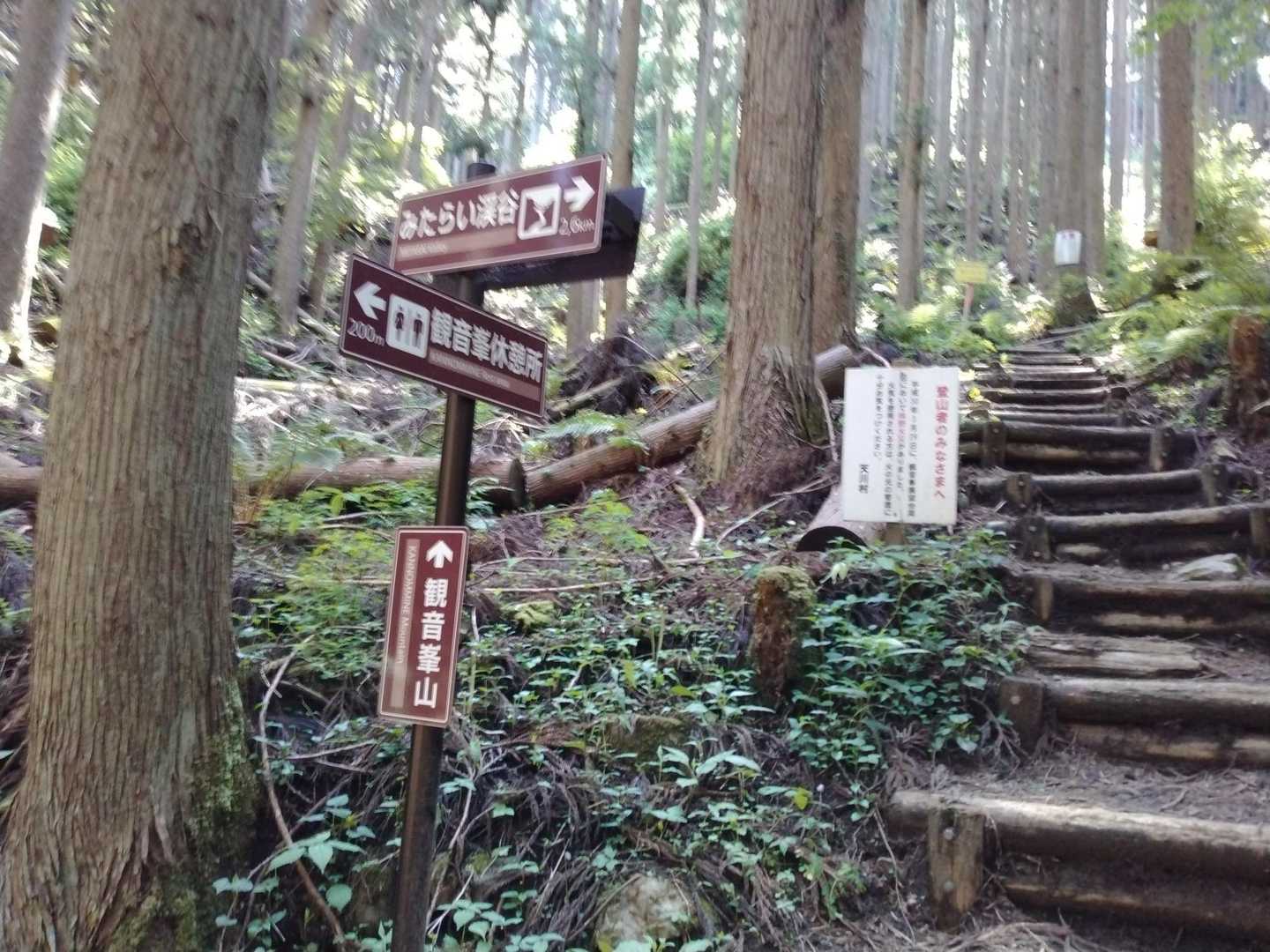 久しぶりの観音峰への道。