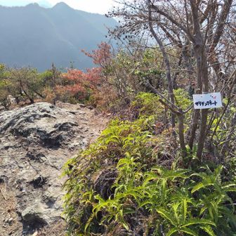 カニのタテバイを上がって来た所を確認したくて
ちょっと寄り道。
「ザイテングラート」の表示に心が踊る😁
