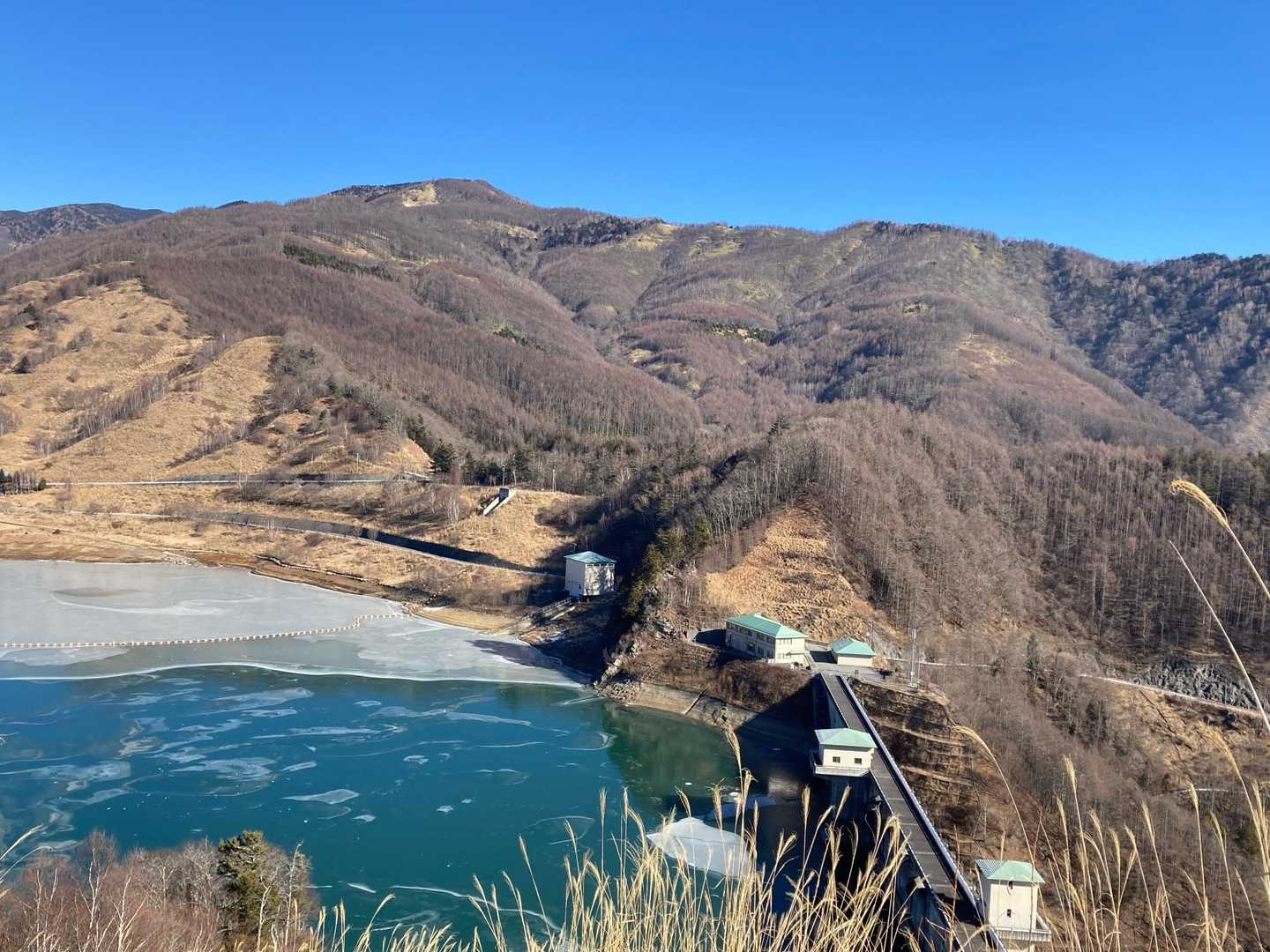 乙女湖の向こうに先週登った大烏山が見える