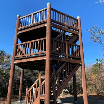 展望台からの景色たるや✨
是非！