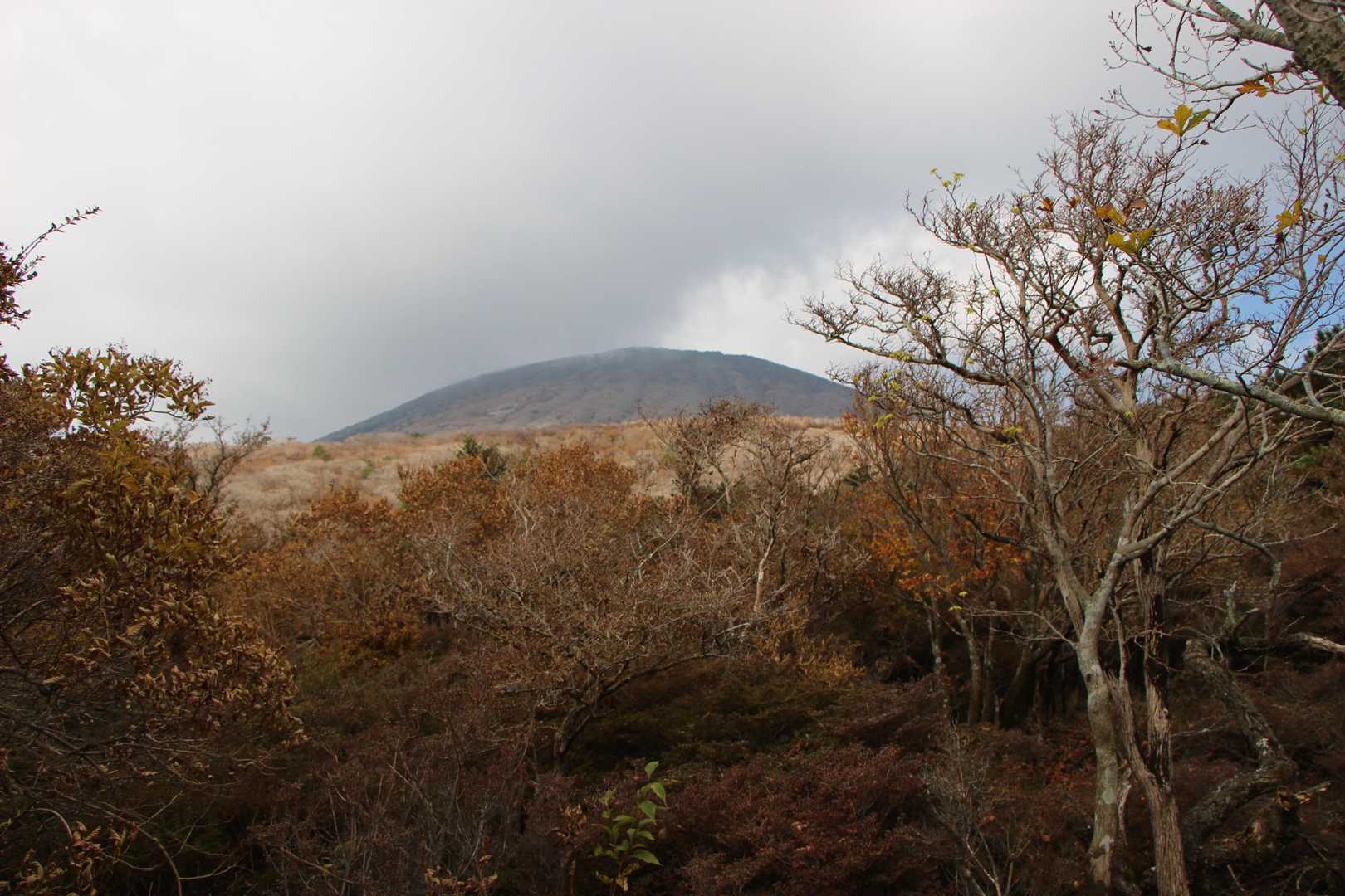 韓国岳登山口-韓国岳-獅子戸岳 往復コースの写真