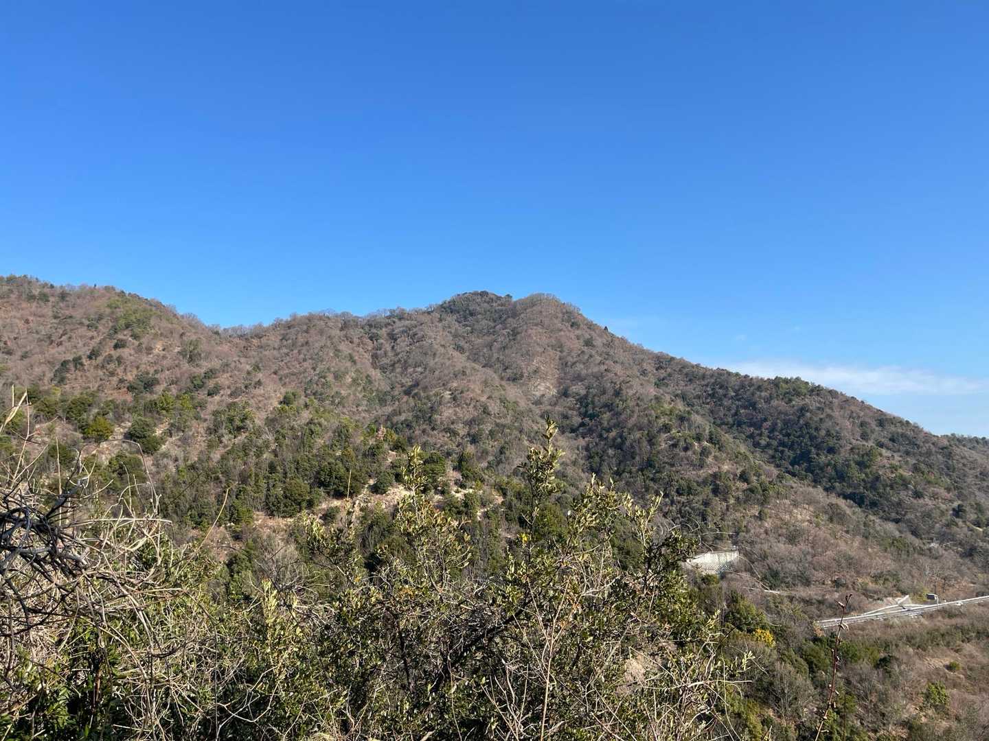 本日の目的地である牡蠣山⛰️
左から巻いていきます