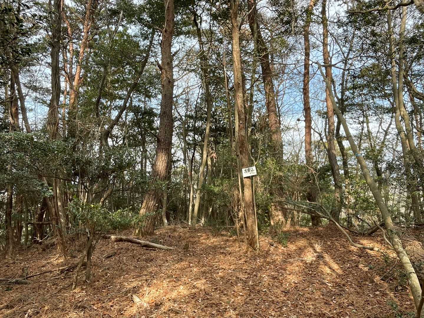 本日の3座目、古倉山のピークをGET✌️
（またしても眺望なし）