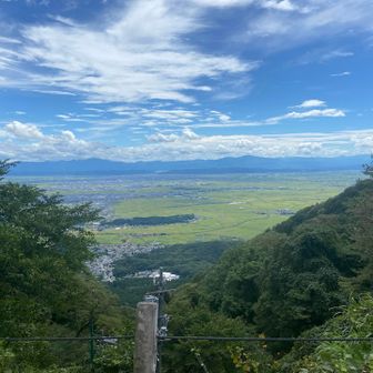 とにかく田、田、田