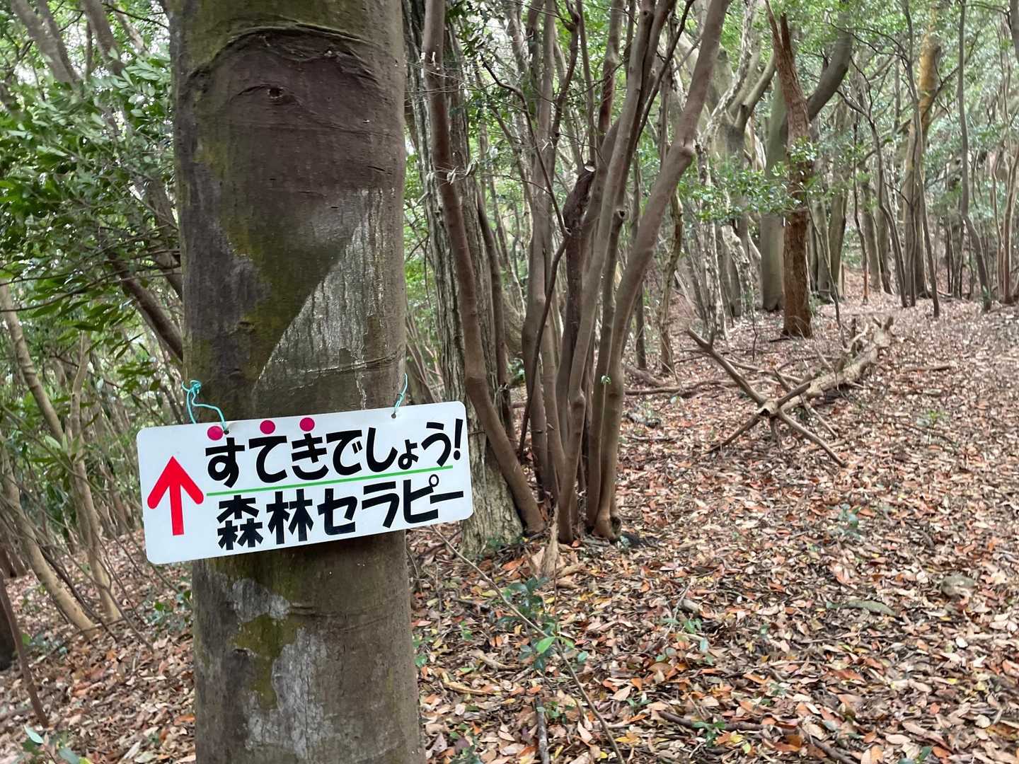 はい、すてきです！賛成🙋