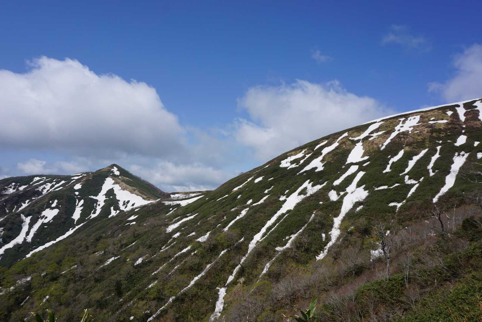 能郷谷登山口-能郷白山-白山神社奥宮神社 往復コースの写真