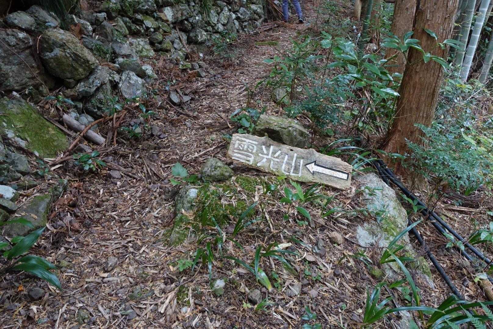 手水登山口から登りました