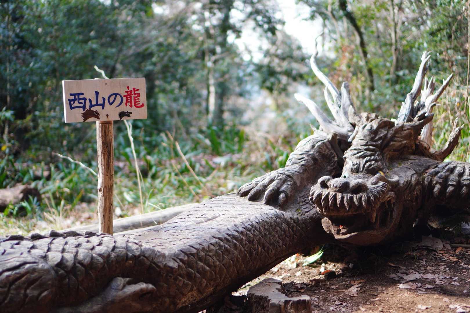 大垂水峠から南高尾山稜 縦走コース　の写真