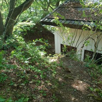 この白い壁の建物の裏手に出てきました。