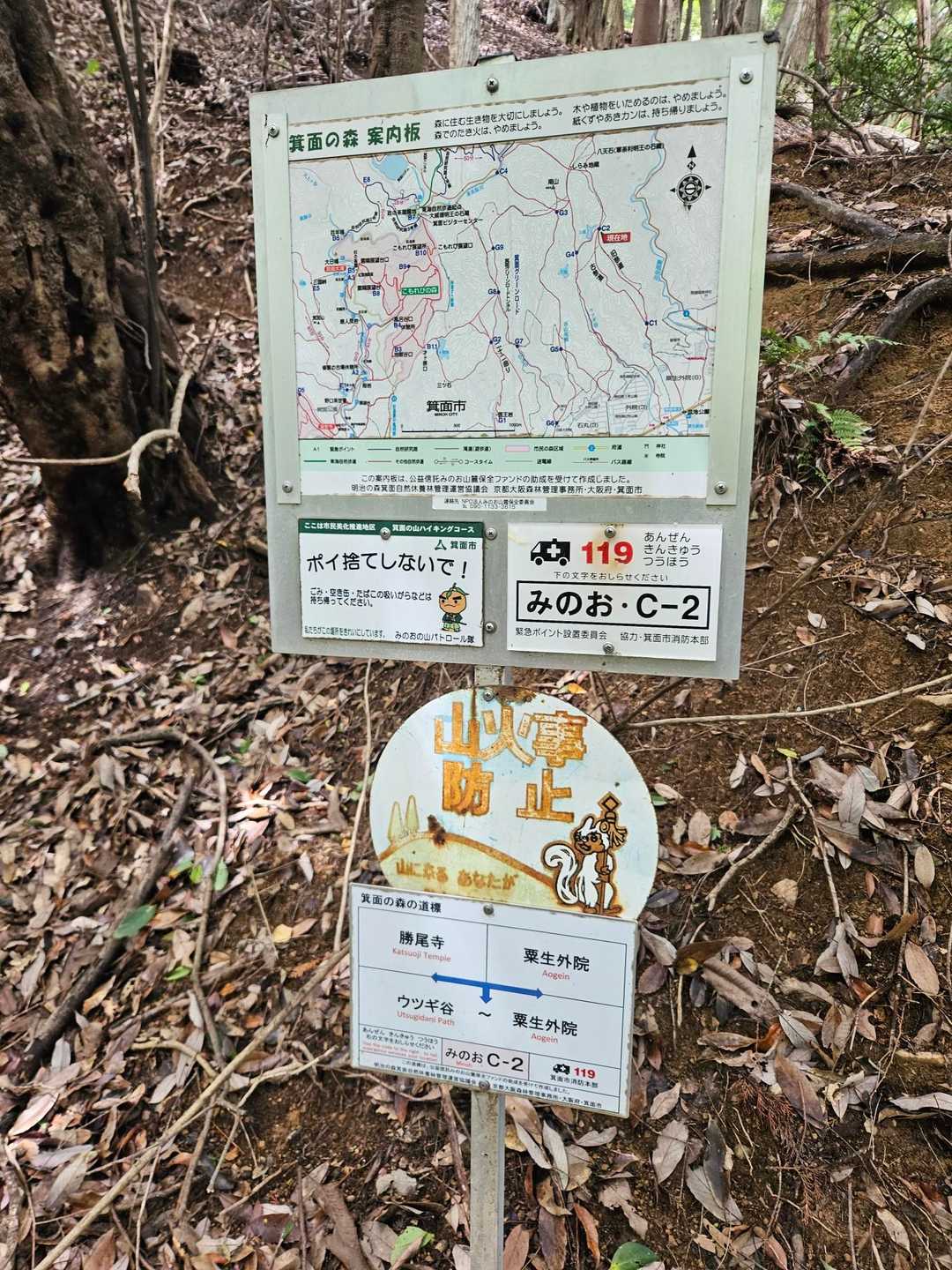 分岐には標あり
