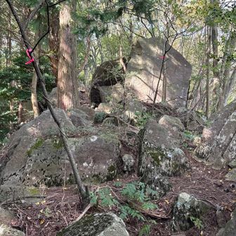 この尾根は楽しい