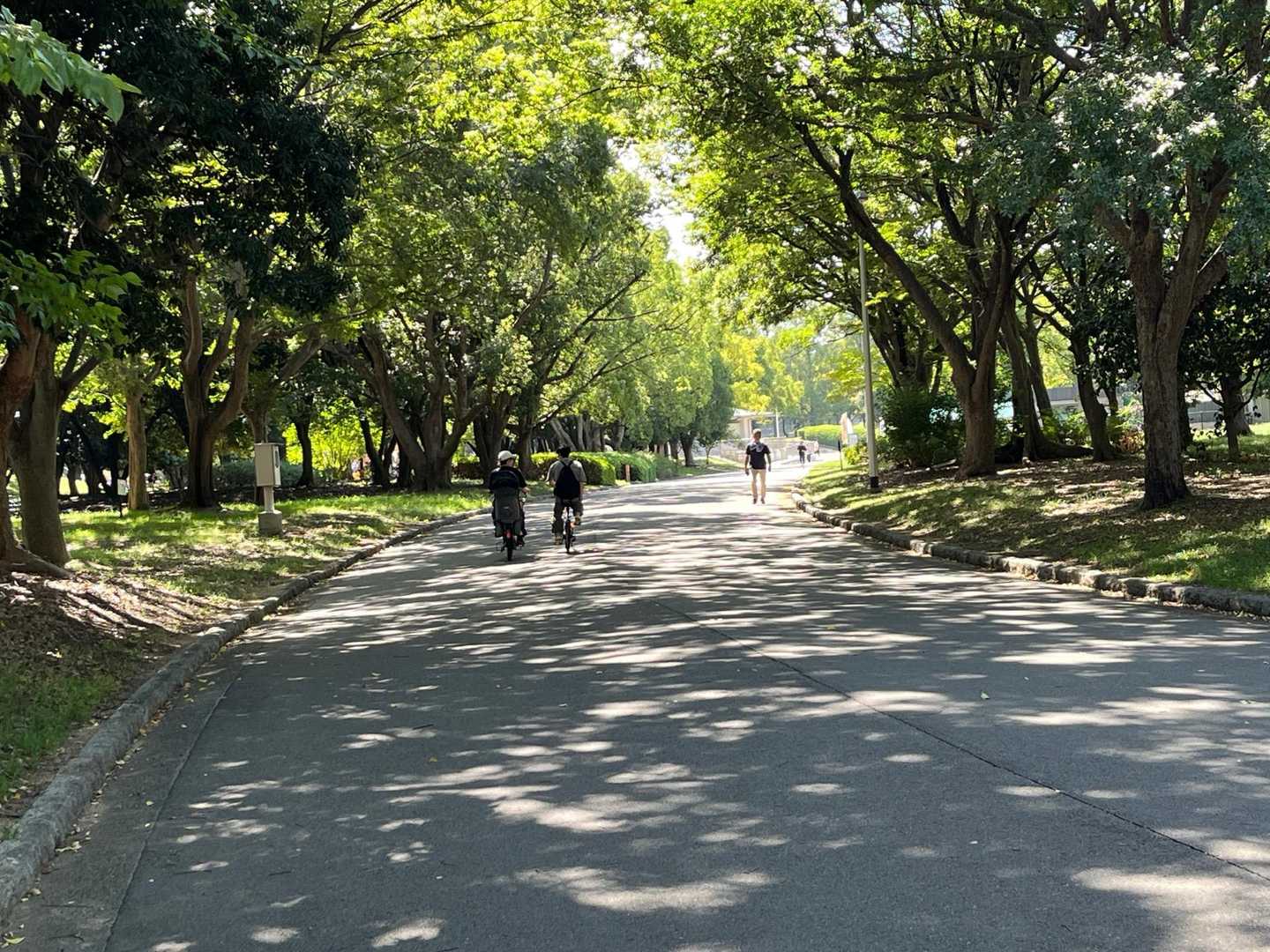 　外周路に沿ってバーベキュー広場方面に向かいます。