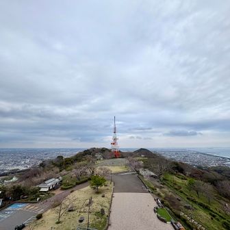 展望台から。高さにビビってしまうくらいの絶景でした。