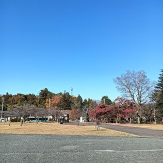 飯能、よい街ですね
生まれてすぐに引っ越してるので記憶にないんですが
生まれは飯能なんです