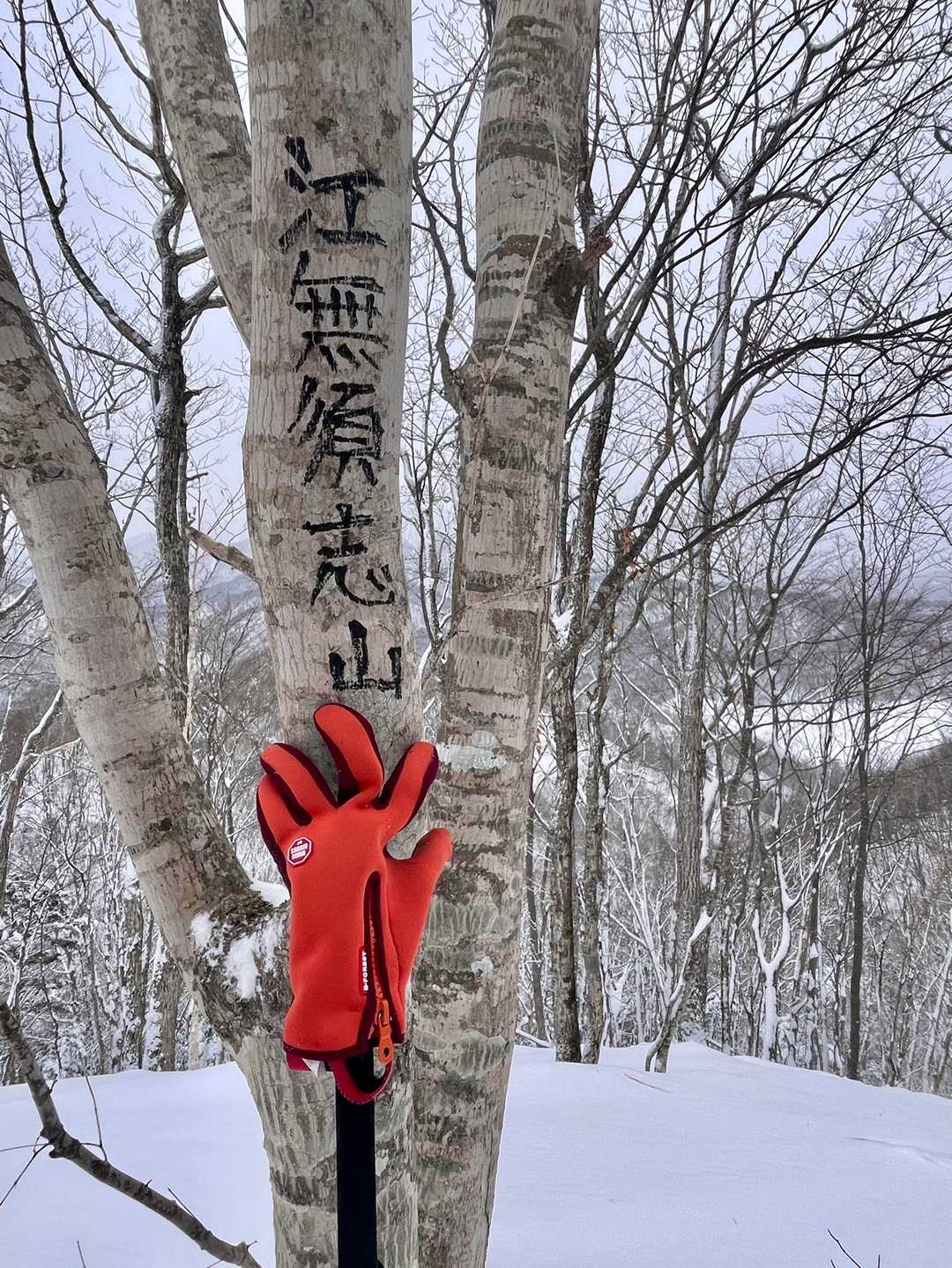 この木でいつもの。ところで、この字体いいなぁ