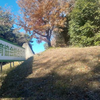 ここを登ります