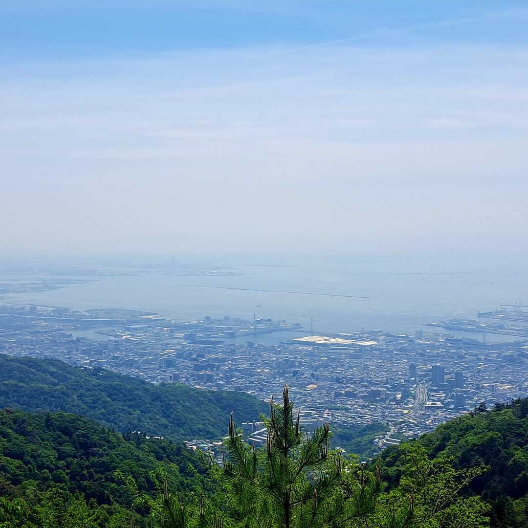 いつもの山歩きで見る景色より高い😁