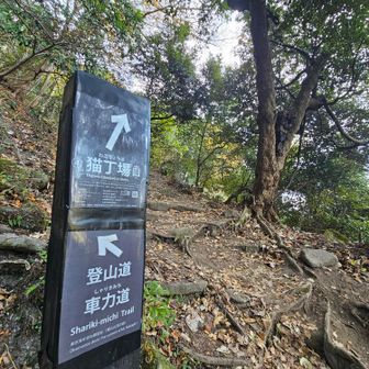 猫丁場にも立ち寄ります