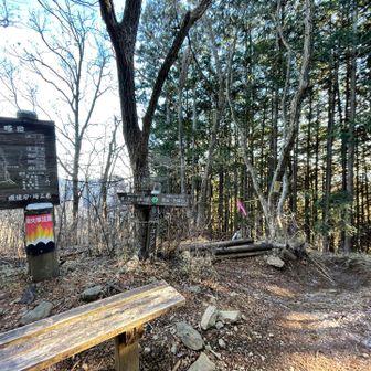 ゴンジリ(権次入)峠