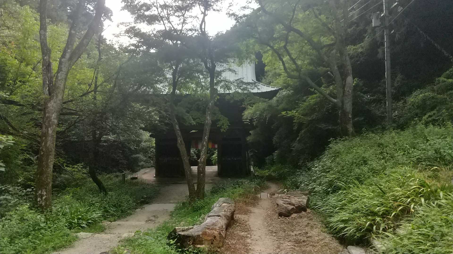 ゴール🚩🙌🚩
この後、駐車場付近で大雨にみまわれました。🥺🌧️
おつかれ山でした。