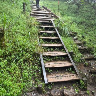 登山道は整備され歩きやすいです
それにしても長い