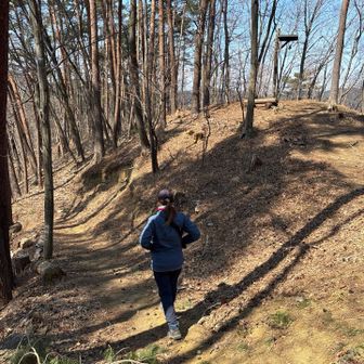 さぁまた散策しよう