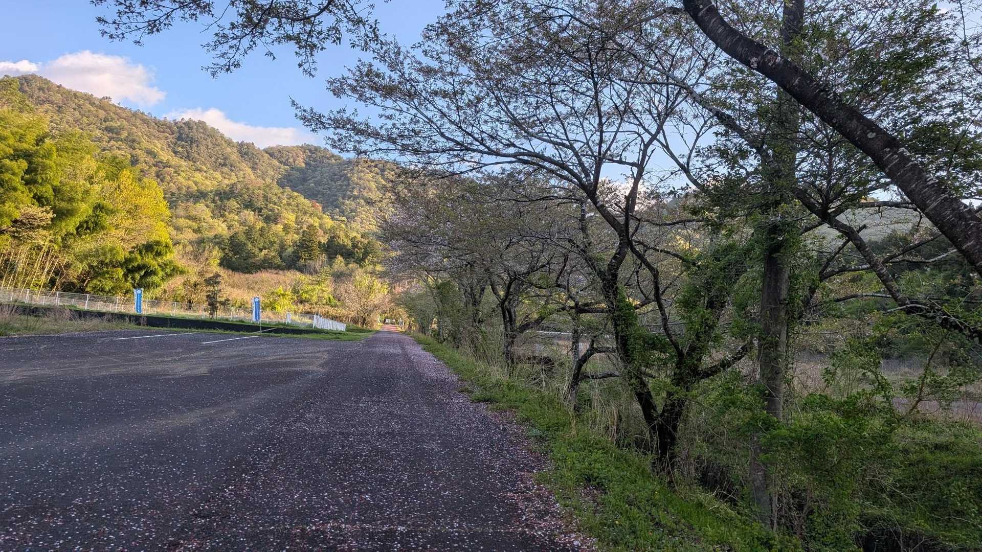 古城山登山口-古城山-はじかみ林道登山口 周回コースの写真