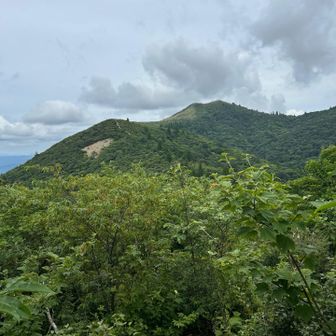 やっと武奈ヶ岳の姿が