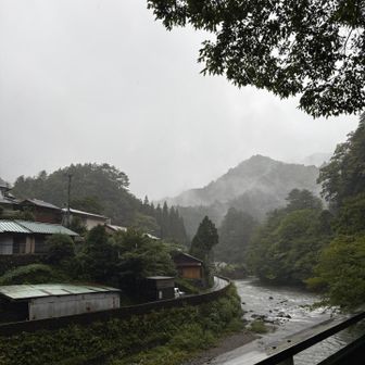 大股。