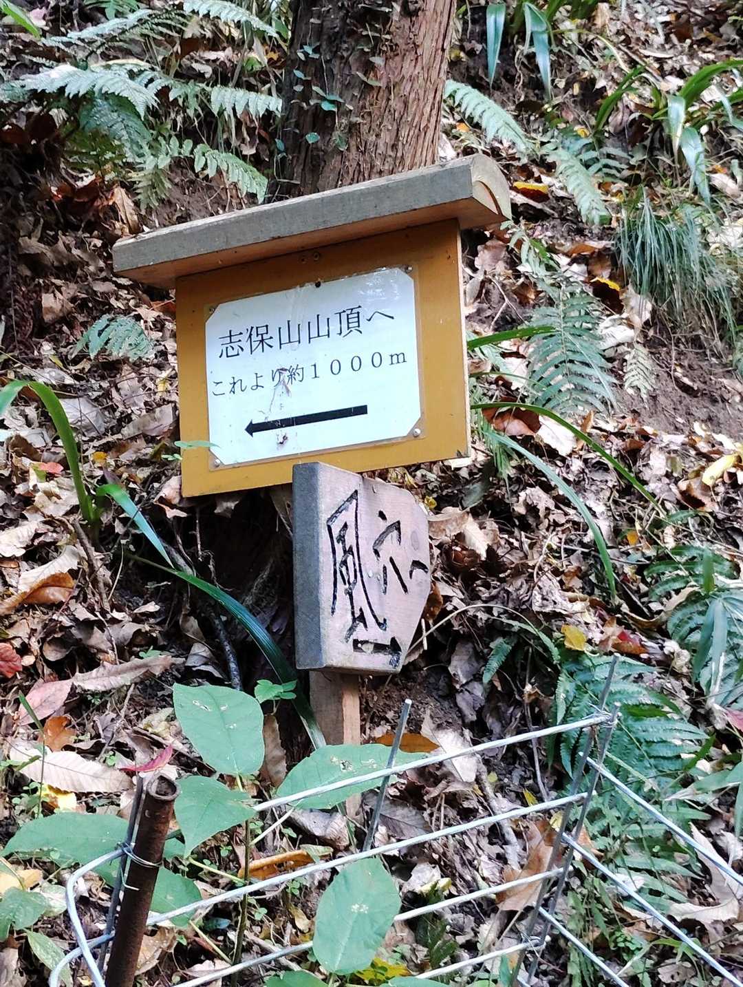 風穴登山口-志保山 往復コースの写真