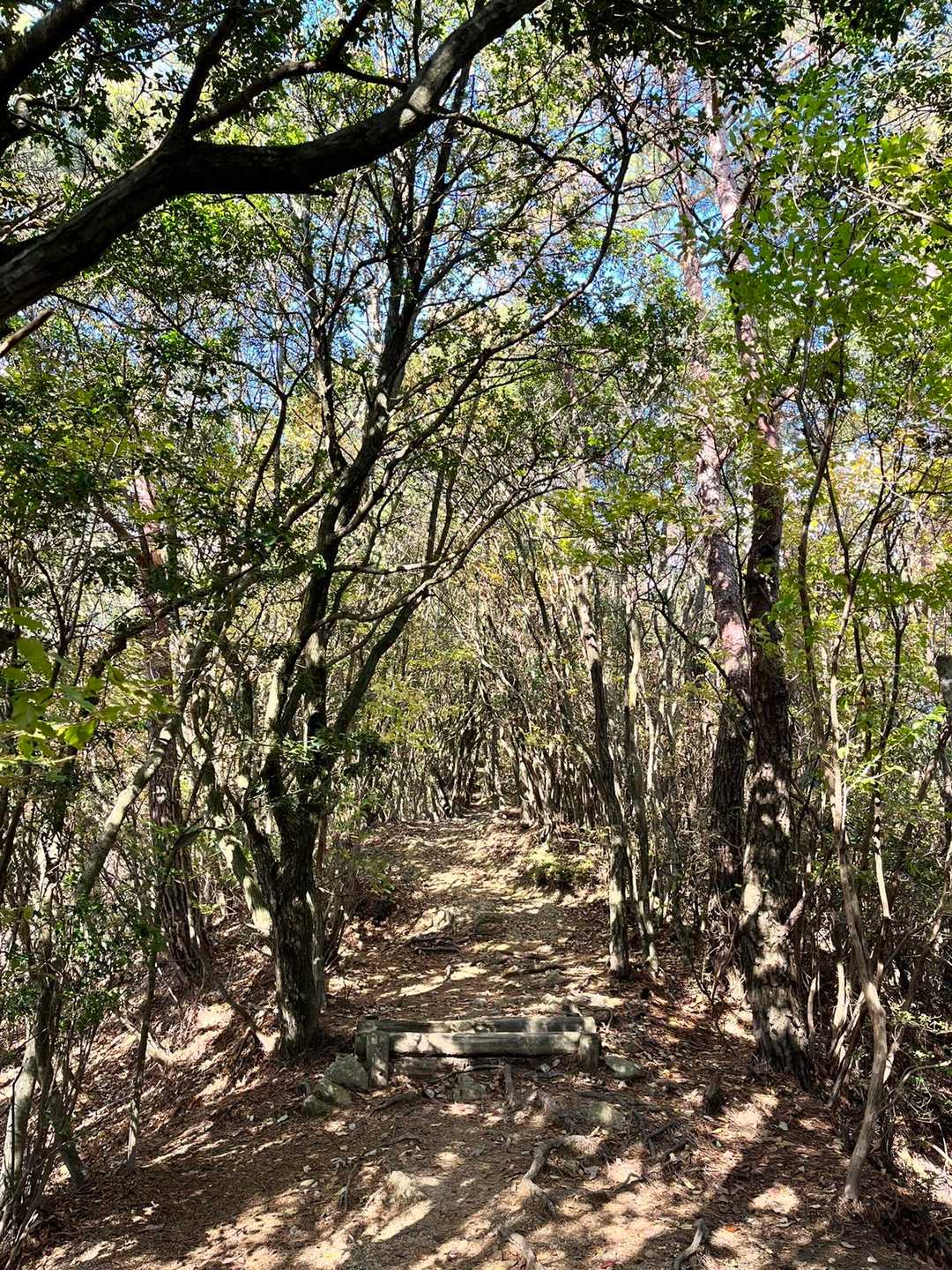 矢筈山・女体山登山口-女体山 (長尾）-矢筈山登山口-矢筈 往復コースの写真