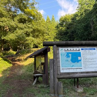 7時過ぎの登山口