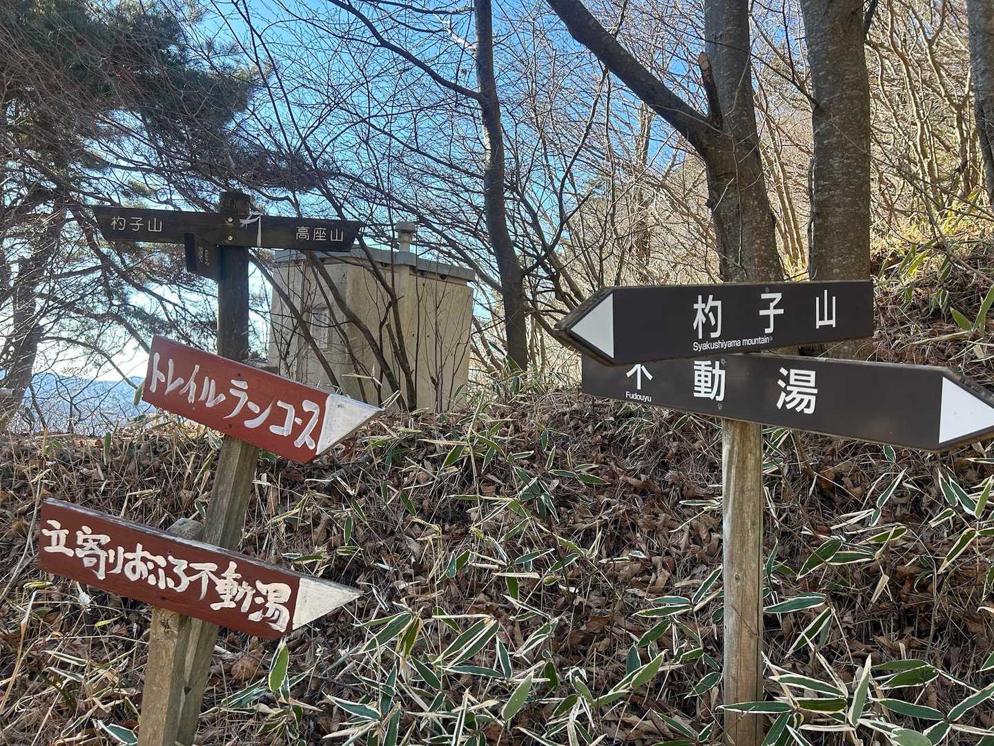 大権首峠-杓子山 往復コースの写真