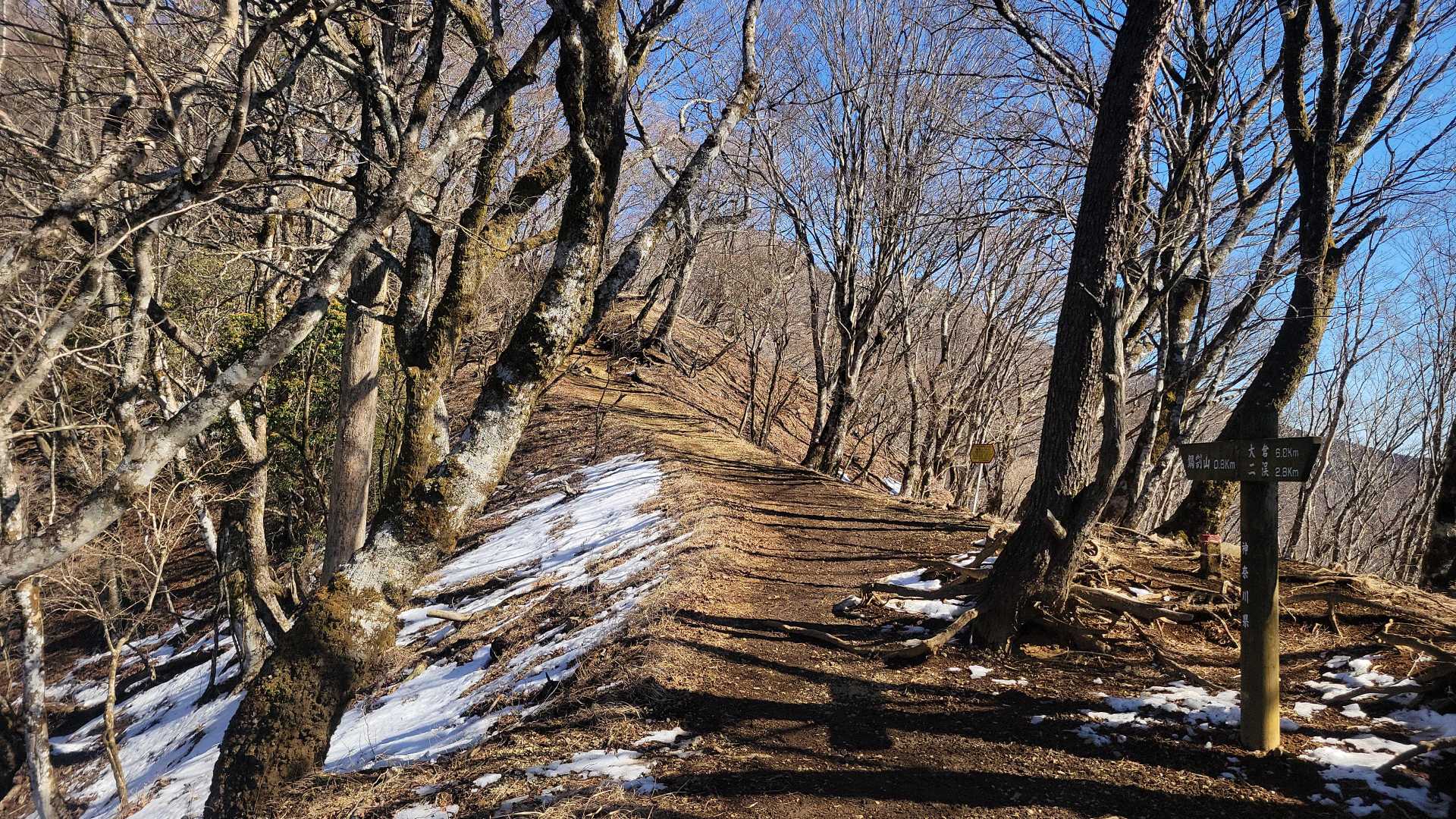 束の間の平和な尾根道。