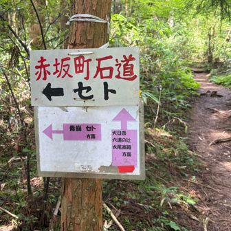 帰りは太尾西で