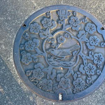 青梅市マンホール👀