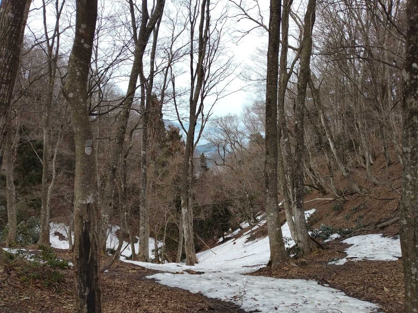 飯盛山 往復コースの写真