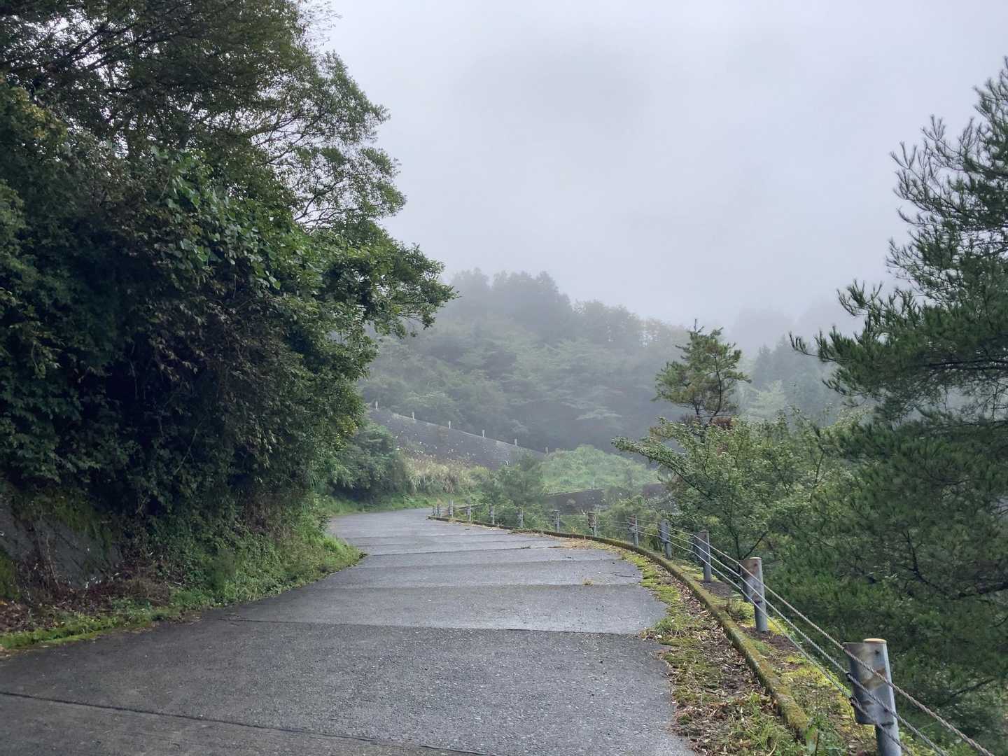 しばらく舗装路歩き。

盛り上がっているのは私だけなのか…
