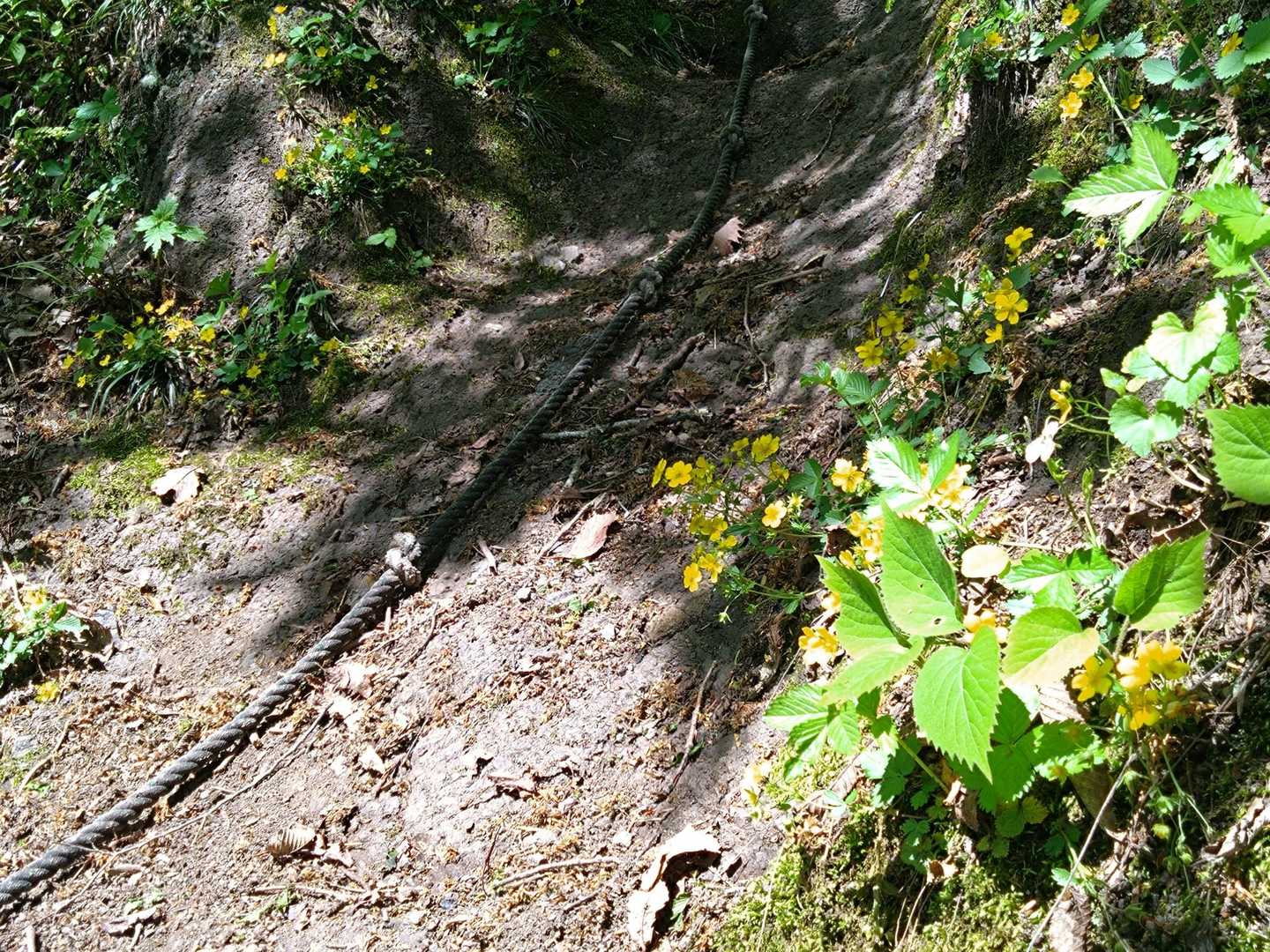白抜山から下って下って
鷲走ヶ岳への登り返し
本当に急登です
ロープに掴まって一歩一歩👣👣
