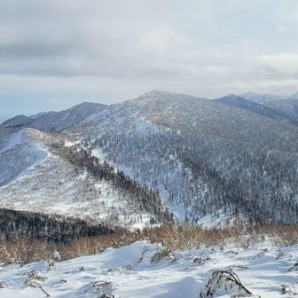 ペケレベツ岳
と、奥に芽室岳も
